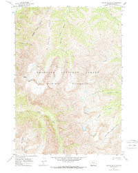 Download a high-resolution, GPS-compatible USGS topo map for Needle Mountain, WY (1973 edition)
