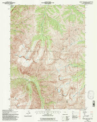 Download a high-resolution, GPS-compatible USGS topo map for Needle Mountain, WY (1997 edition)