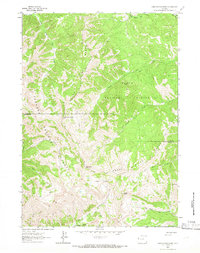Download a high-resolution, GPS-compatible USGS topo map for Observation Peak, WY (1966 edition)