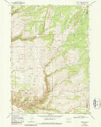 Download a high-resolution, GPS-compatible USGS topo map for Onion Gulch, WY (1987 edition)
