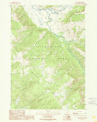 Download a high-resolution, GPS-compatible USGS topo map for Opal Creek, WY (1989 edition)