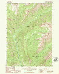 Download a high-resolution, GPS-compatible USGS topo map for Pahaska Tepee, WY (1989 edition)