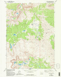 Download a high-resolution, GPS-compatible USGS topo map for Paradise Basin, WY (1993 edition)