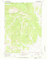 preview thumbnail of historical topo map of Sublette County, WY in 1966