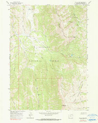 Download a high-resolution, GPS-compatible USGS topo map for Pickle Pass, WY (1991 edition)