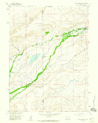 preview thumbnail of historical topo map of Albany County, WY in 1958