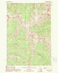 Download a high-resolution, GPS-compatible USGS topo map for Pilot Peak, WY (1989 edition)