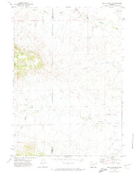 Download a high-resolution, GPS-compatible USGS topo map for Piney Canyon NE, WY (1974 edition)