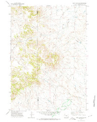 Download a high-resolution, GPS-compatible USGS topo map for Piney Canyon SE, WY (1974 edition)