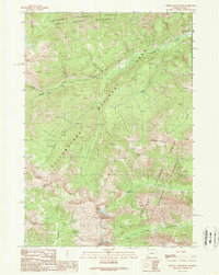 Download a high-resolution, GPS-compatible USGS topo map for Plenty Coups Peak, WY (1989 edition)