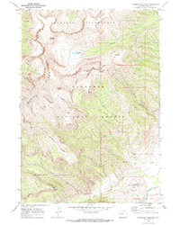 Download a high-resolution, GPS-compatible USGS topo map for Ptarmigan Mountain, WY (1973 edition)