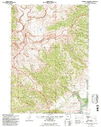 Download a high-resolution, GPS-compatible USGS topo map for Ptarmigan Mountain, WY (1996 edition)