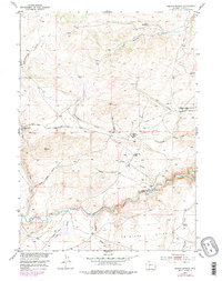 Download a high-resolution, GPS-compatible USGS topo map for Radium Springs, WY (1979 edition)