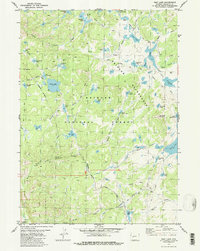 Download a high-resolution, GPS-compatible USGS topo map for Raid Lake, WY (1987 edition)