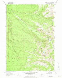 Download a high-resolution, GPS-compatible USGS topo map for Rammel Mountain, WY (1971 edition)