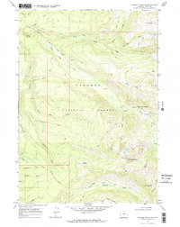 Download a high-resolution, GPS-compatible USGS topo map for Rammel Mountain, WY (1972 edition)