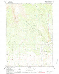 Download a high-resolution, GPS-compatible USGS topo map for Ramshorn Peak, WY (1984 edition)