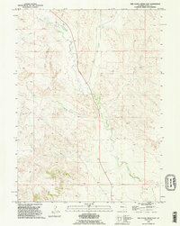 Download a high-resolution, GPS-compatible USGS topo map for Red Cloud Creek East, WY (1995 edition)