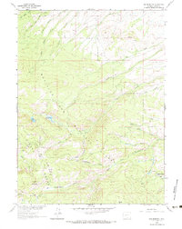Download a high-resolution, GPS-compatible USGS topo map for Red Mountain, WY (1983 edition)