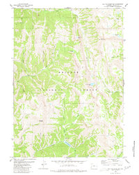 Download a high-resolution, GPS-compatible USGS topo map for Red Top Mountain, WY (1980 edition)