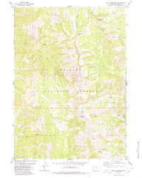 Download a high-resolution, GPS-compatible USGS topo map for Rock Lake Peak, WY (1980 edition)