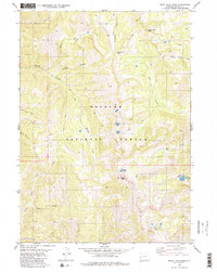 Download a high-resolution, GPS-compatible USGS topo map for Rock Lake Peak, WY (1980 edition)