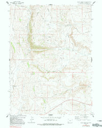Download a high-resolution, GPS-compatible USGS topo map for Round Mountain, WY (1991 edition)