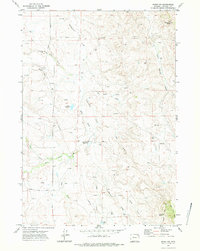 Download a high-resolution, GPS-compatible USGS topo map for Rozet NW, WY (1985 edition)