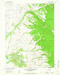 Download a high-resolution, GPS-compatible USGS topo map for Ryan Park, WY (1963 edition)