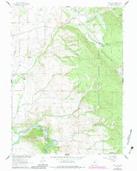 Download a high-resolution, GPS-compatible USGS topo map for Ryan Park, WY (1984 edition)
