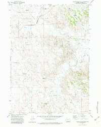 Download a high-resolution, GPS-compatible USGS topo map for Saddle Horse Butte, WY (1982 edition)