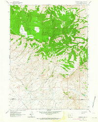 Download a high-resolution, GPS-compatible USGS topo map for Sagebrush Park, WY (1964 edition)