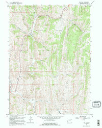 Download a high-resolution, GPS-compatible USGS topo map for Salt Flat, WY (1995 edition)