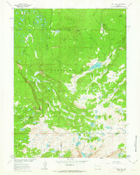 Download a high-resolution, GPS-compatible USGS topo map for Sand Lake, WY (1963 edition)
