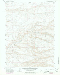 Download a high-resolution, GPS-compatible USGS topo map for Scott Spring, WY (1981 edition)