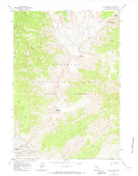 Download a high-resolution, GPS-compatible USGS topo map for Sheep Mesa, WY (1973 edition)