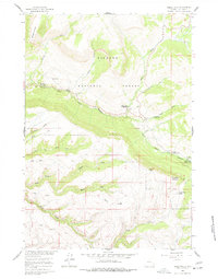 Download a high-resolution, GPS-compatible USGS topo map for Shell Falls, WY (1978 edition)