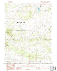 Download a high-resolution, GPS-compatible USGS topo map for Sherman Mountains East, WY (1995 edition)