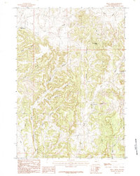 Download a high-resolution, GPS-compatible USGS topo map for Skull Creek, WY (1984 edition)