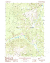 Download a high-resolution, GPS-compatible USGS topo map for Snake Hot Springs, WY (1989 edition)