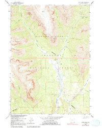 Download a high-resolution, GPS-compatible USGS topo map for Snow Lake, WY (1992 edition)