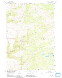 Download a high-resolution, GPS-compatible USGS topo map for Spanish Point, WY (1991 edition)