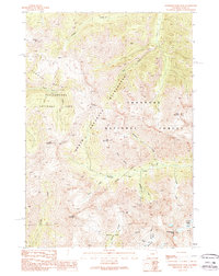 Download a high-resolution, GPS-compatible USGS topo map for Stinkingwater Peak, WY (1989 edition)