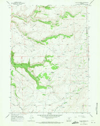 Download a high-resolution, GPS-compatible USGS topo map for Tallon Spring, WY (1971 edition)