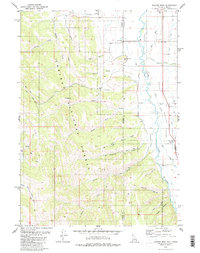 Download a high-resolution, GPS-compatible USGS topo map for Thayne West, WY (1980 edition)
