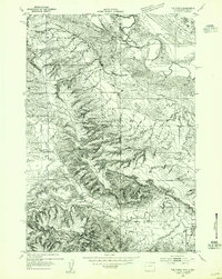 Download a high-resolution, GPS-compatible USGS topo map for The Forks, WY (1954 edition)