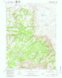 Download a high-resolution, GPS-compatible USGS topo map for The Q Ranch, WY (1980 edition)