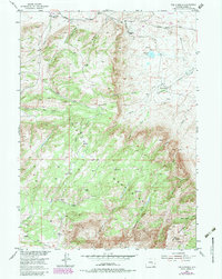 Download a high-resolution, GPS-compatible USGS topo map for The Q Ranch, WY (1983 edition)