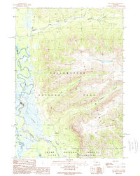 Download a high-resolution, GPS-compatible USGS topo map for The Trident, WY (1989 edition)