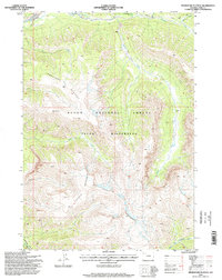 Download a high-resolution, GPS-compatible USGS topo map for Thorofare Plateau, WY (1998 edition)